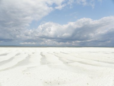 Zanzibar beach