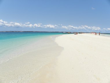 Zanzibar beach