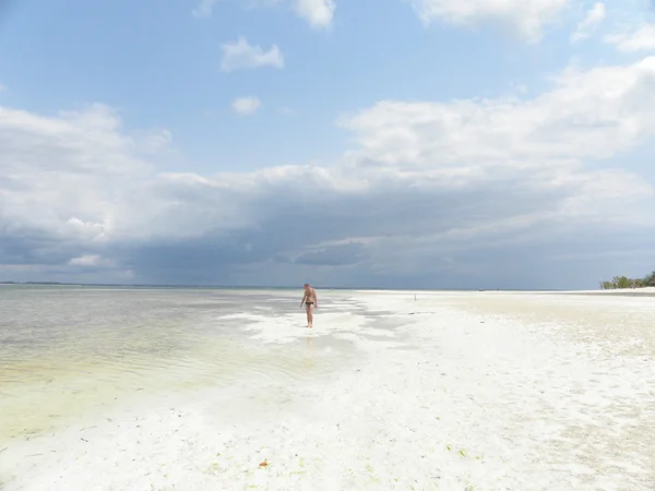 Zanzibar beach — Stock Fotó