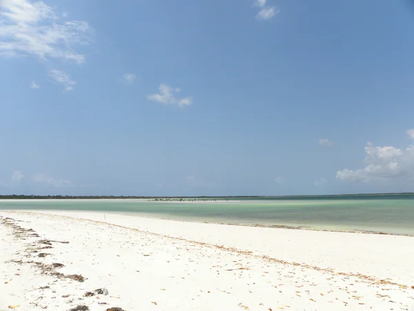 Praia de Zanzibar — Fotografia de Stock