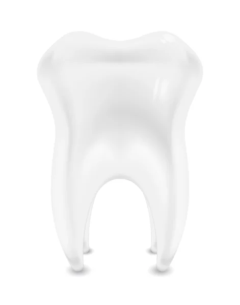 Білий зуб — стокове фото
