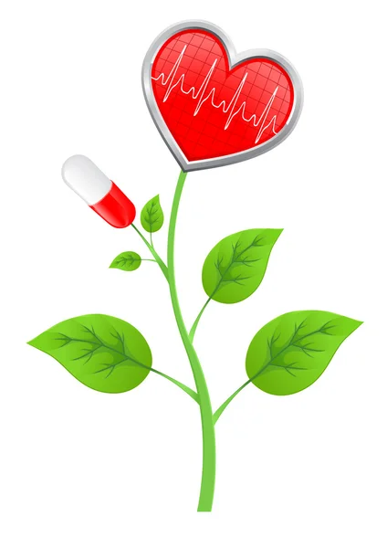 Green stem with leaves, pills, and a heart-shaped diagram — Stock Photo, Image