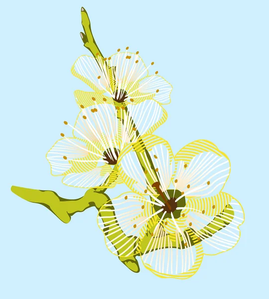 Pozadí žluté květiny na zelenou větev — Stock fotografie