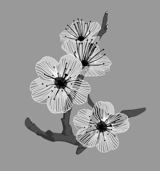 Λευκή ορχιδέα λουλούδια σε έναν κλάδο σε γκρι φόντο — Φωτογραφία Αρχείου