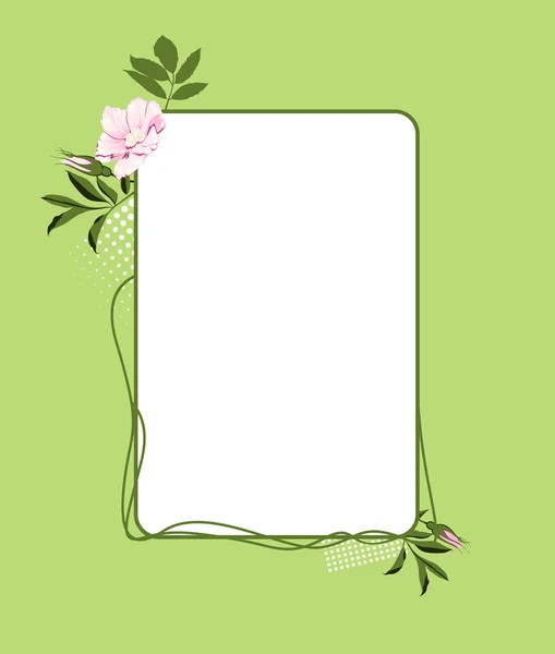 Rose flower frame or border — Stock Photo, Image
