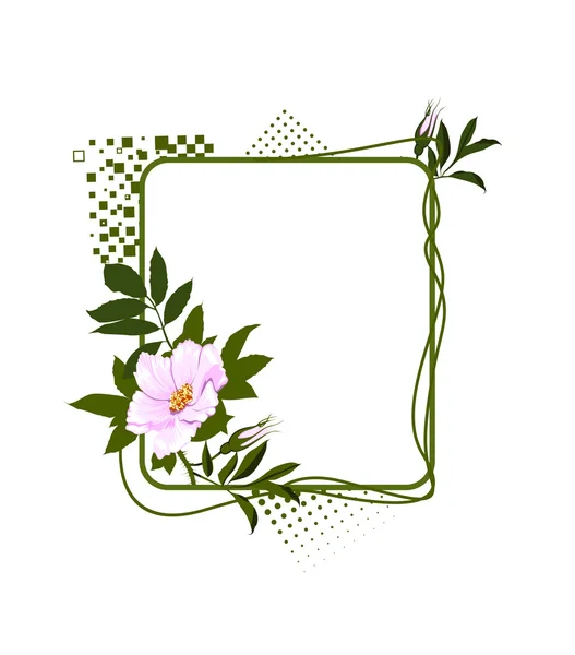 该绿色图文框与野生淡紫色玫瑰 — 图库照片