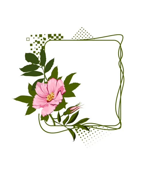 A armação verde com as rosas rosa selvagens — Fotografia de Stock