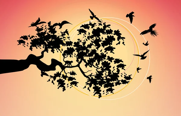 Мбаппе на фото с птицами — стоковое фото