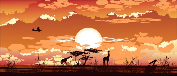 Sonnenuntergang der Savanne — Stockvektor