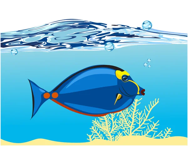 Beautiful blue fish underwater — Stock Vector