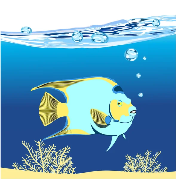 Hermoso pez bajo el agua — Vector de stock