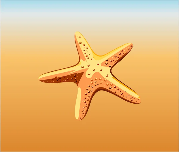 Estrella de mar en la playa — Archivo Imágenes Vectoriales