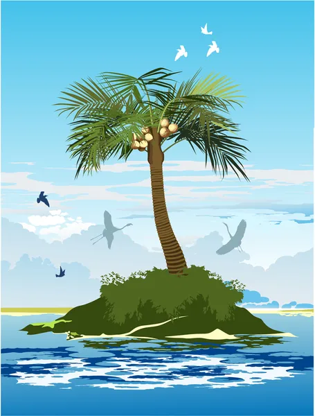 Palme auf der Insel — Stockvektor