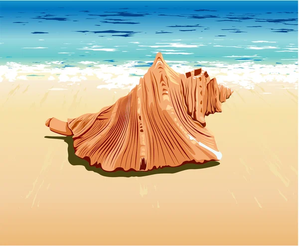 Shell à la plage — Image vectorielle