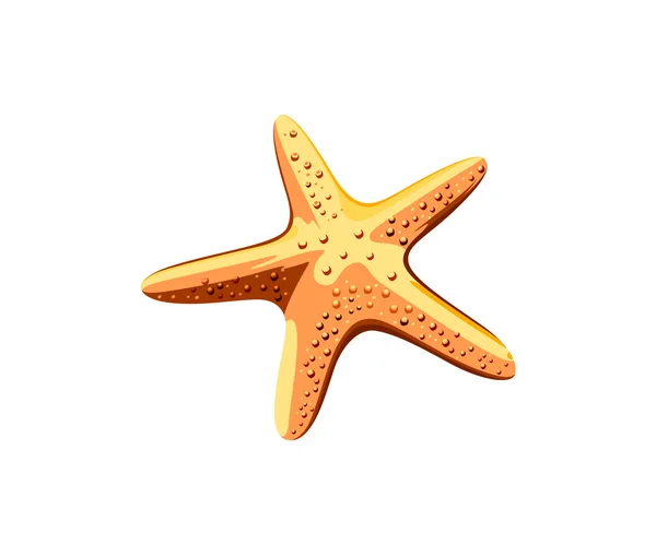 Starfish wit — Stockvector