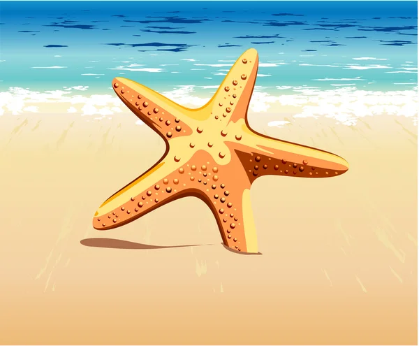 Starfish in the sand — Stock Vector