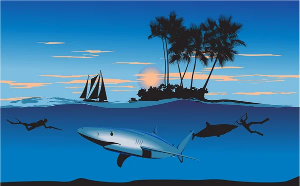 Wyspa rekinów w nocy — Wektor stockowy