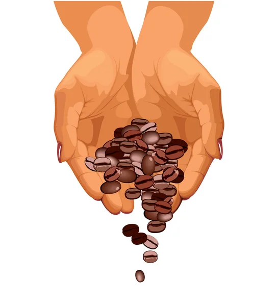 Los granos de café caen de dos manos — Vector de stock