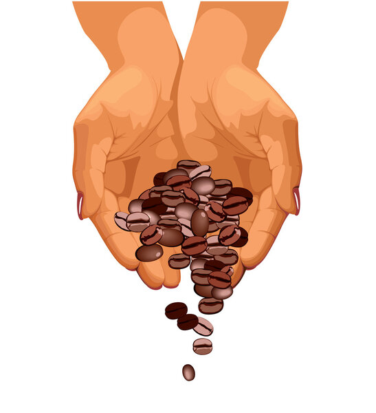 Coffee beans are falling down from two hands