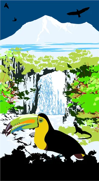 Tucanucu papagaio na cachoeira e fundo da selva — Vetor de Stock