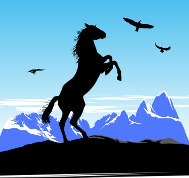 Horse stand on its hind legs clipart