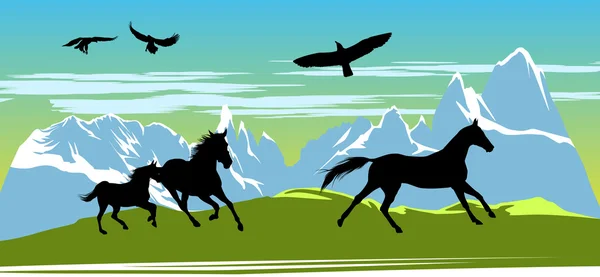 Laufende schwarze Pferde auf dem Hintergrund der Berge — Stockfoto