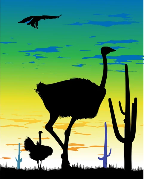 Ostriches in the steppe and eagle in the sky whit cacti — Stock Photo, Image
