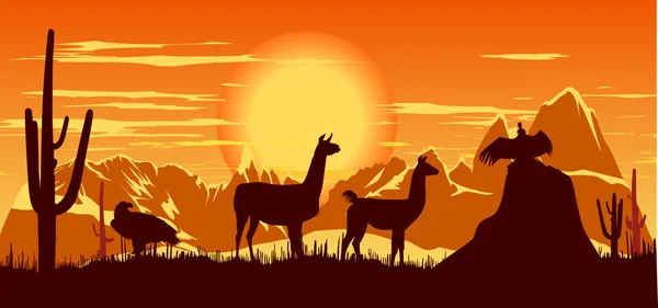 Lama sauvage et les oiseaux sur le fond de ciel orange chaud — Photo