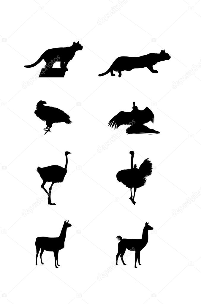 Black images and silhouettes of a South America wild animals