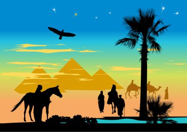 Piramitler ve palmiyeler, gece yolcuları