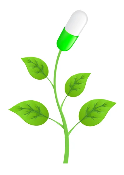 Растение с листьями и таблетками — стоковое фото