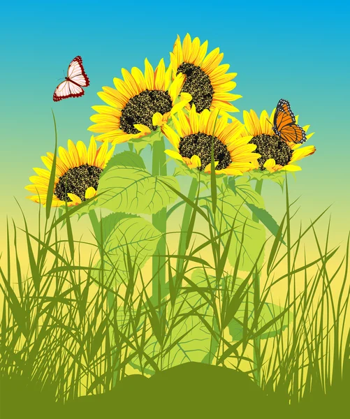 Cartão de verão floral com girassol — Fotografia de Stock