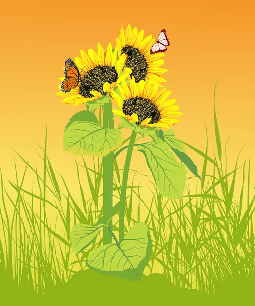 Zonnebloem met vlinder op de gele achtergrond — Stockfoto