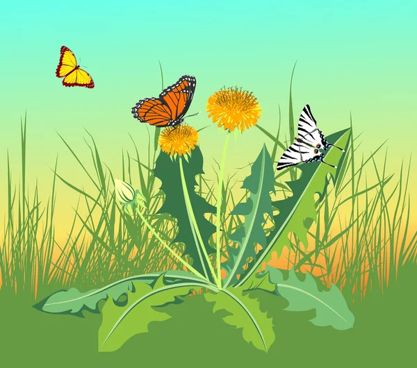 Drei Schmetterlinge fliegen auf einem Feld — Stockfoto