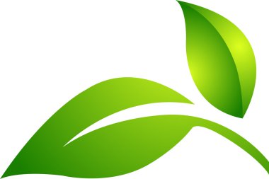 Two leaf logo