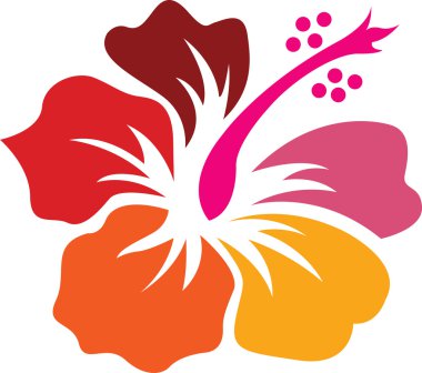 Hibiscus flower clipart