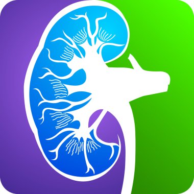 Kidney logo clipart