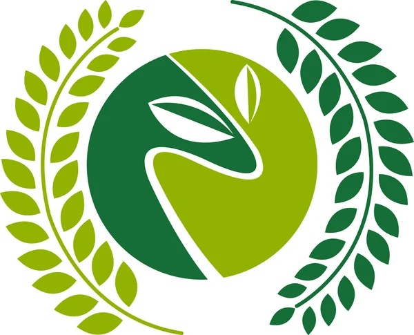 Logo mit grünen Lorbeerblättern — Stockvektor