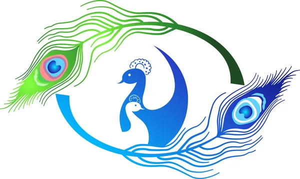 Peacock logotyp — Stock vektor