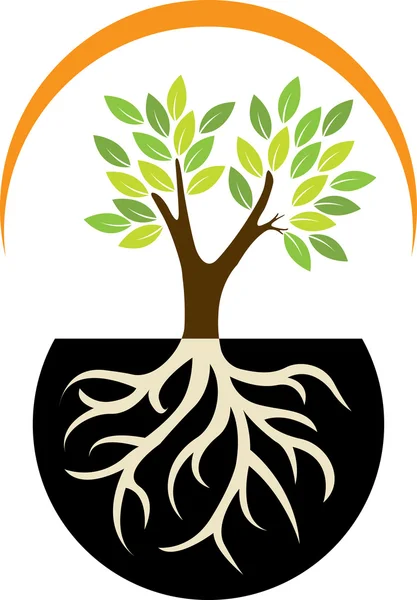 Baum-Logo — Stockvektor