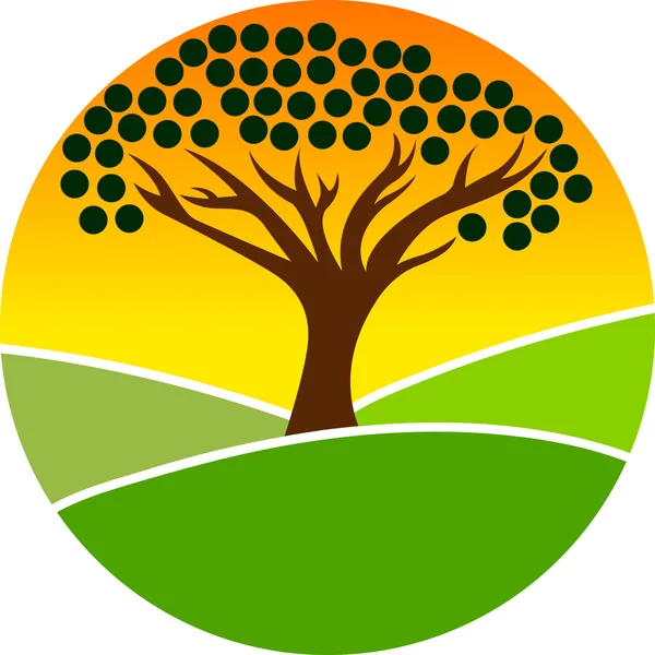 Logo van de boom — Stockvector