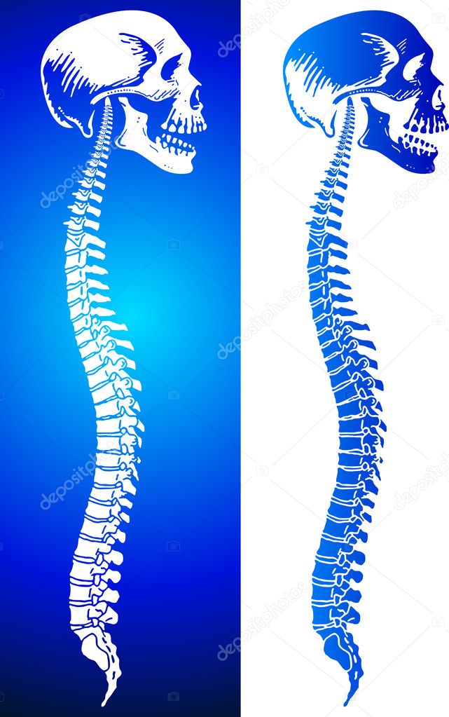 Man spine
