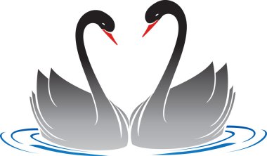 Water swans clipart