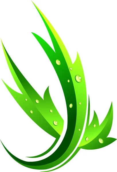 Folha verde — Vetor de Stock