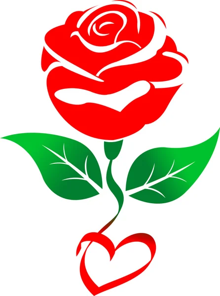 Κόκκινο τριαντάφυλλο — Διανυσματικό Αρχείο
