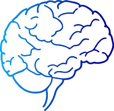 Human brain clipart