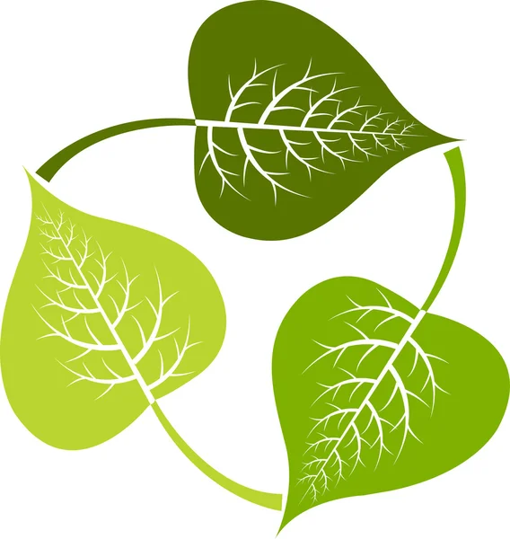 Логотип листьев — стоковый вектор