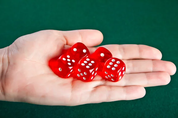 Dices in the hand. — Stock Photo, Image