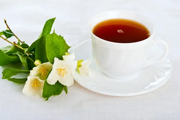 Taza de té en servilleta blanca . —  Fotos de Stock