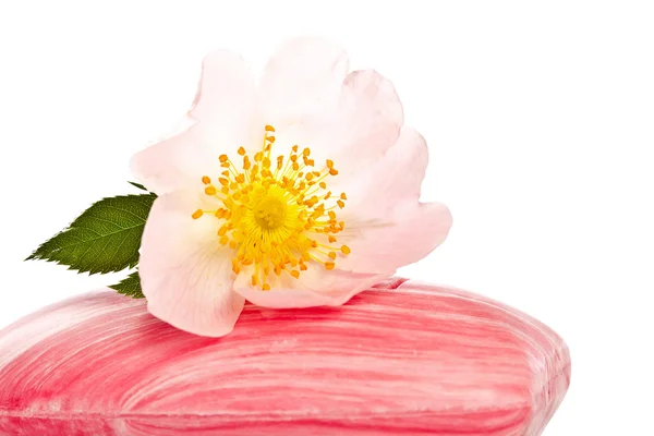 Różowy mydło z kwiatem — Zdjęcie stockowe